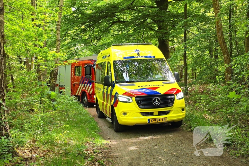 Twee gewonden bij ongeval met paard en wagen