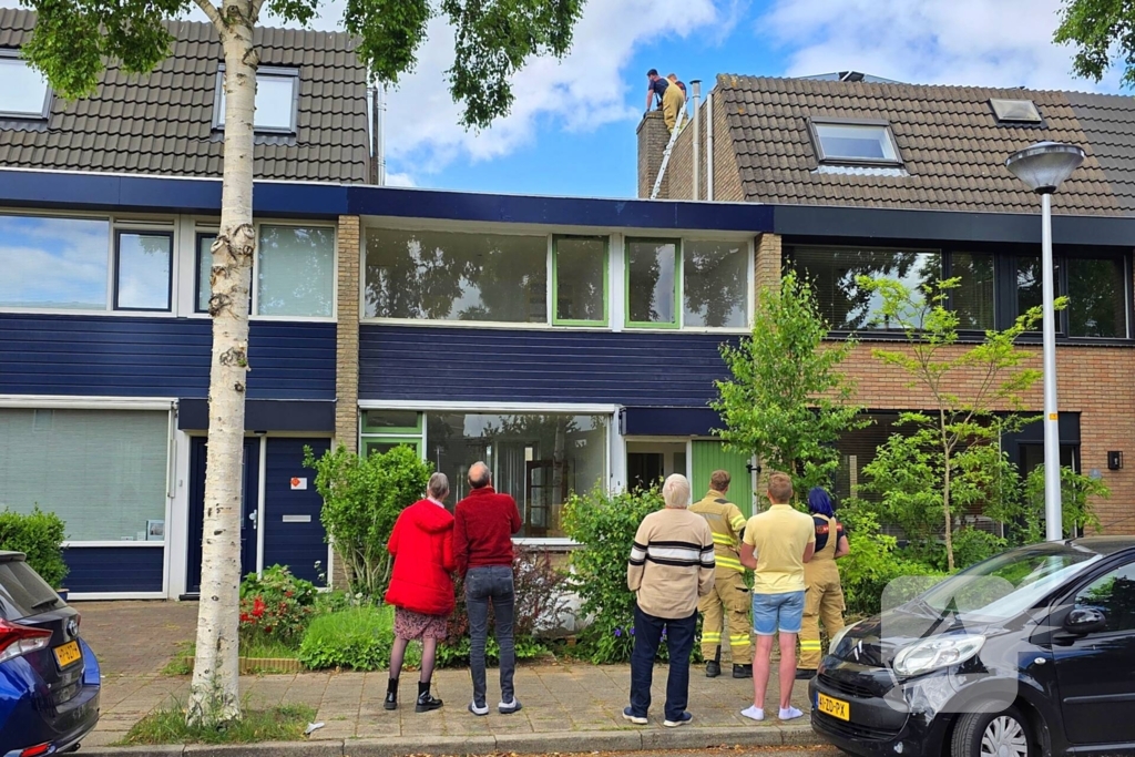 Vogel gevlogen na reddingsactie van brandweer