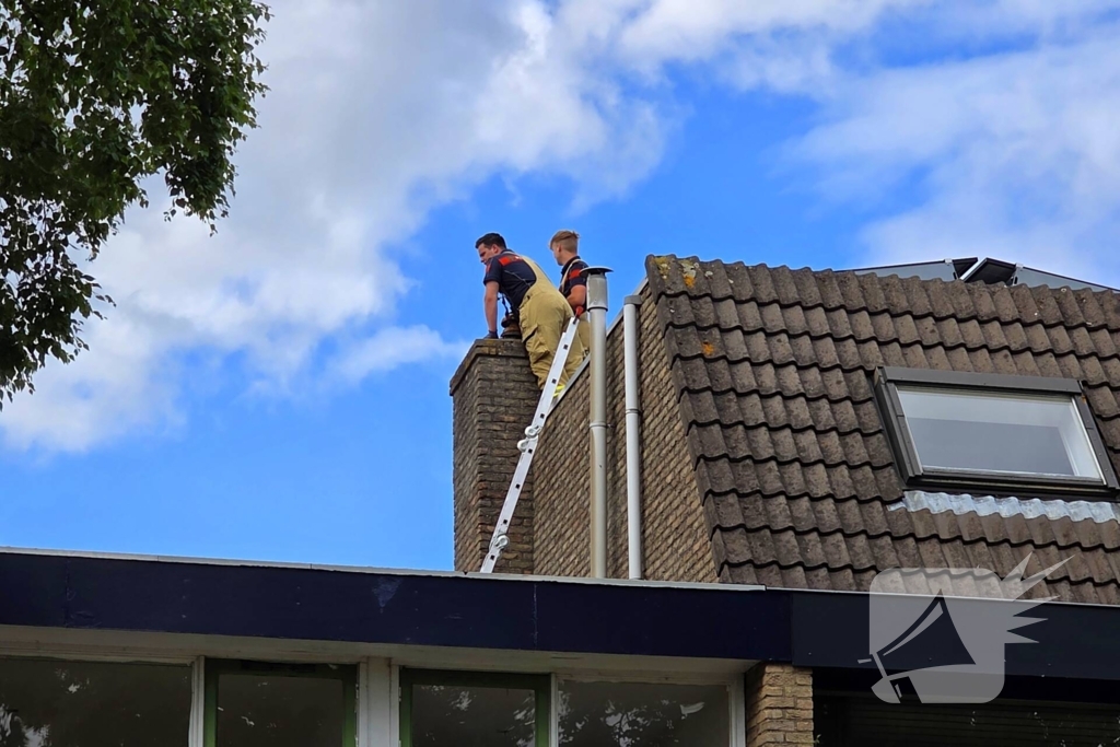 Vogel gevlogen na reddingsactie van brandweer