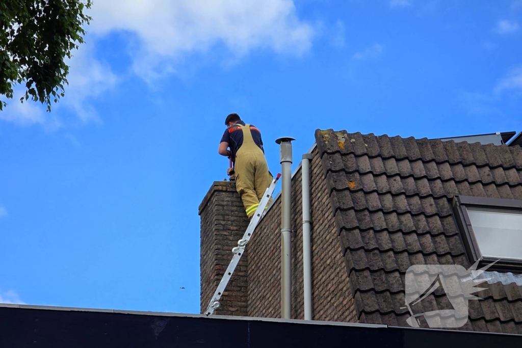 Vogel gevlogen na reddingsactie van brandweer