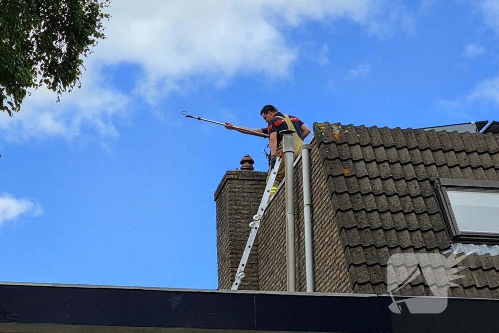 Vogel gevlogen na reddingsactie van brandweer