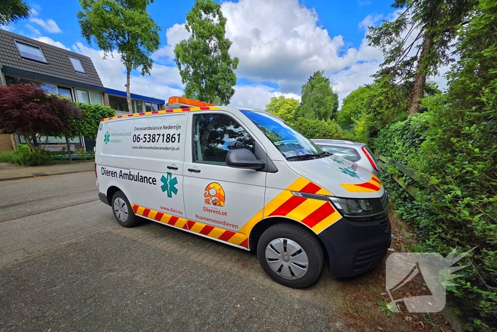 Vogel gevlogen na reddingsactie van brandweer