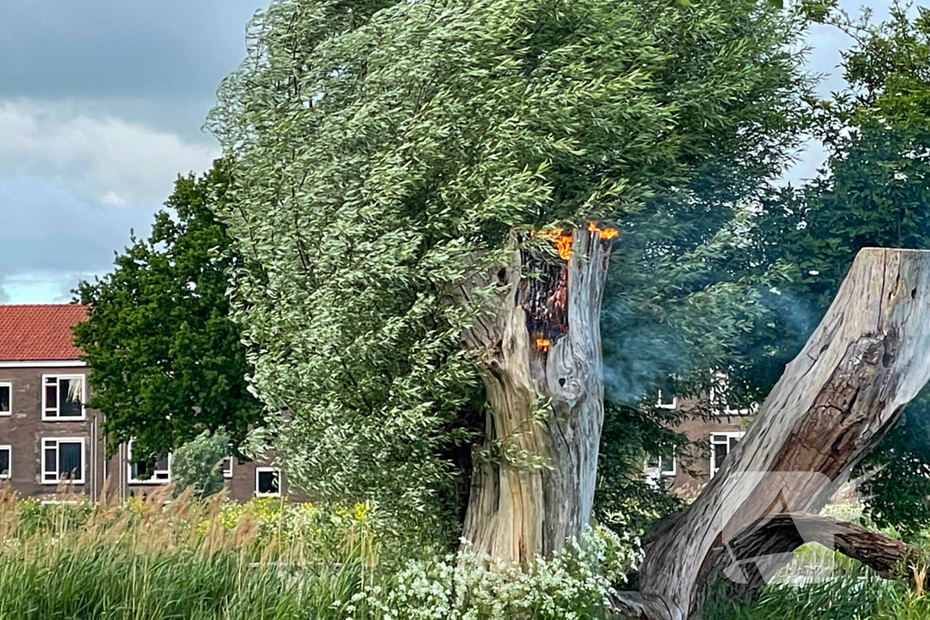 Brandende boom snel gedoofd