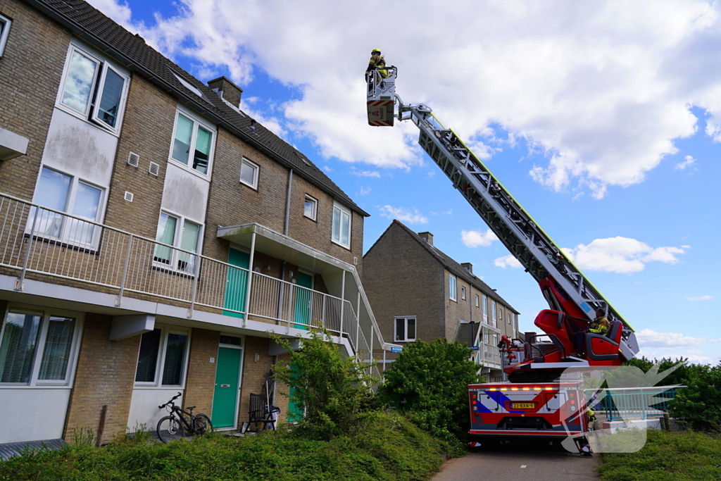 Brandweer haalt kat van nok van dak