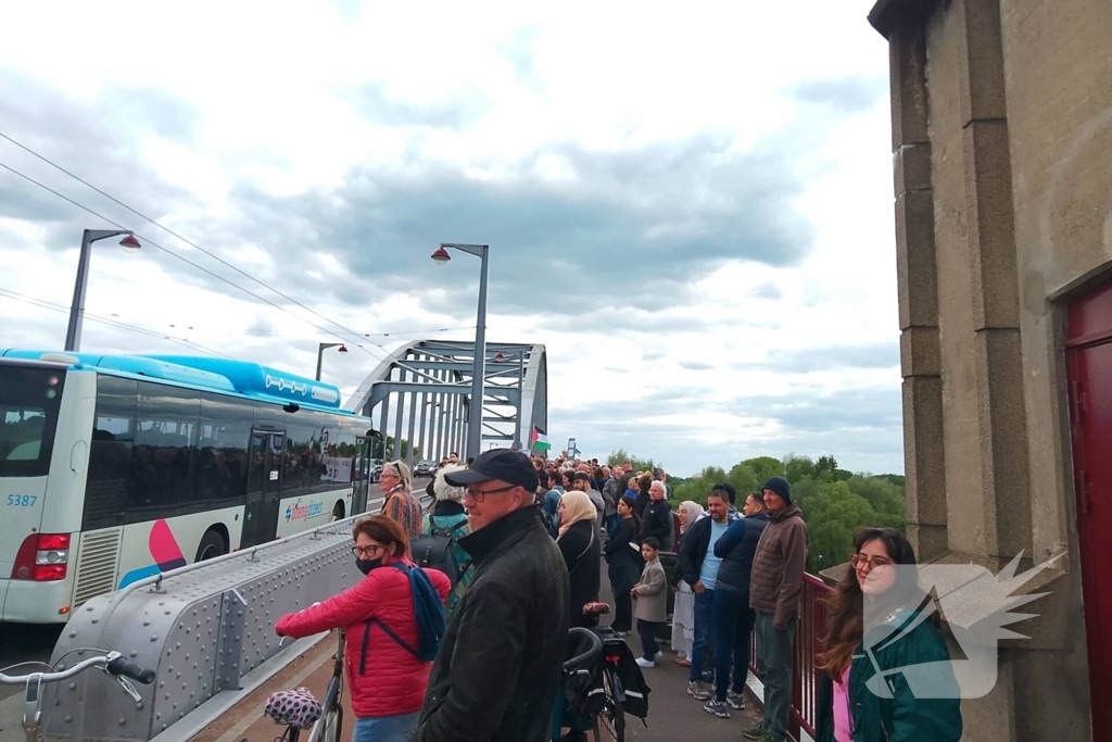 Pro Palestina demonstratie