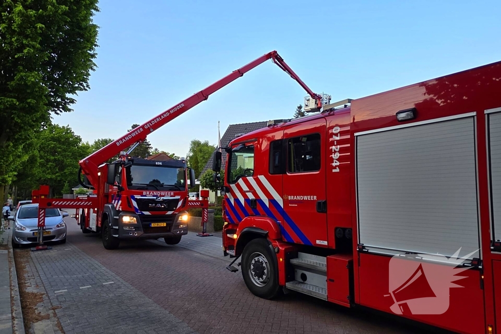 Vogel vast in schoorsteen