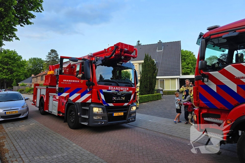 Vogel vast in schoorsteen