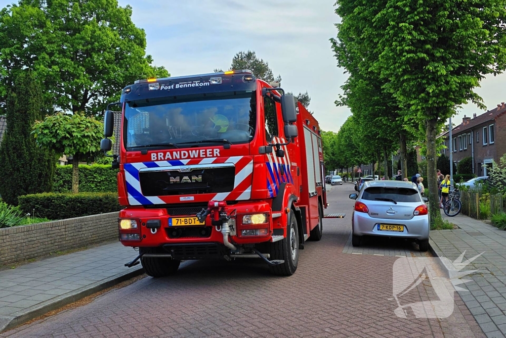 Vogel vast in schoorsteen