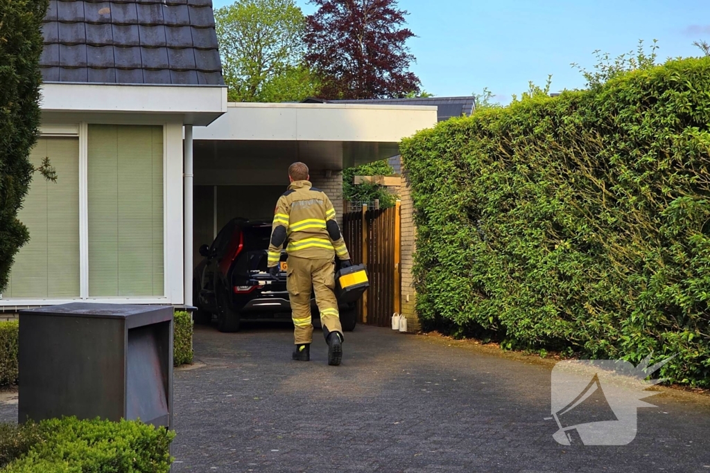 Vogel vast in schoorsteen