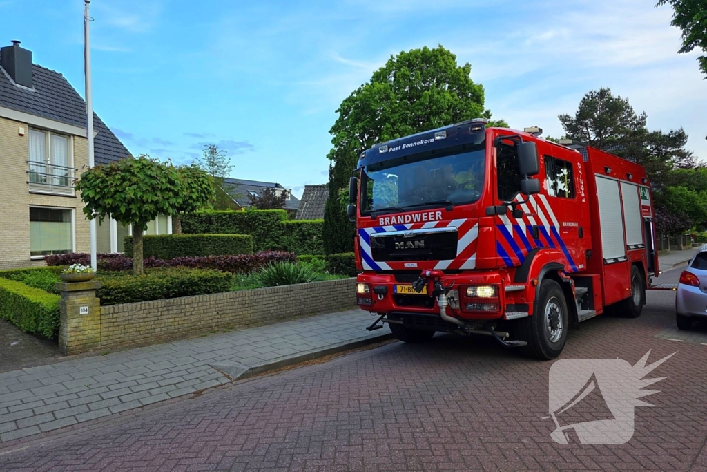 Vogel vast in schoorsteen