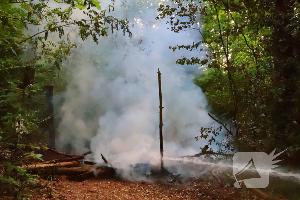 Tevergeefse bluspoging bosbrand