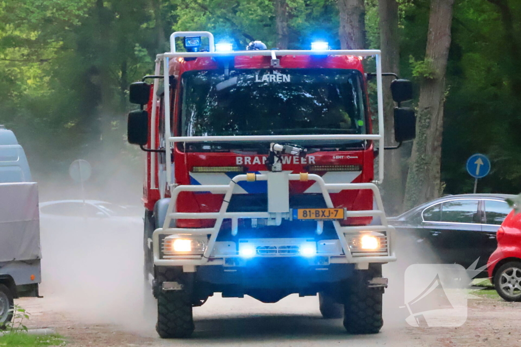 Tevergeefse bluspoging bosbrand