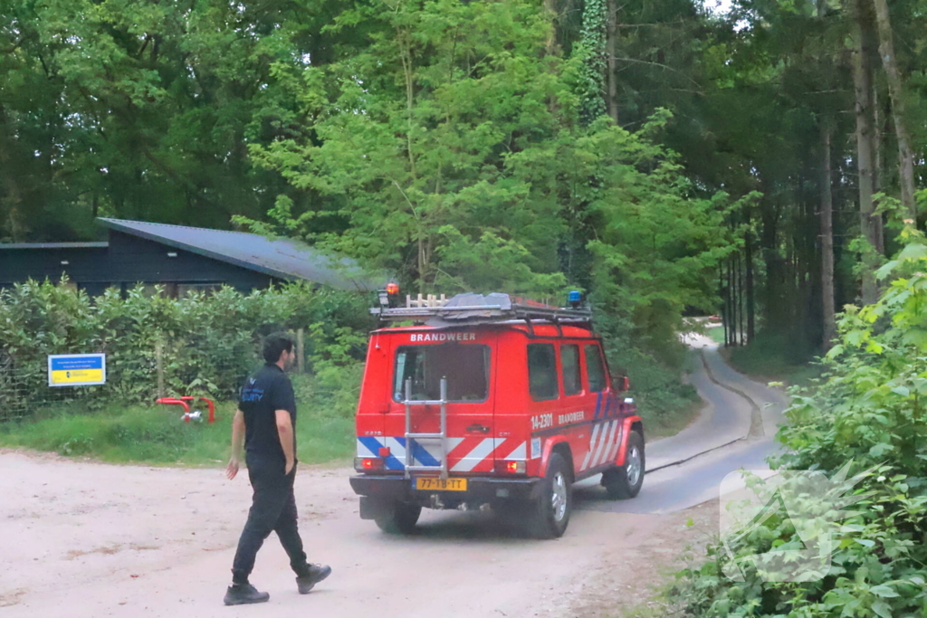 Tevergeefse bluspoging bosbrand