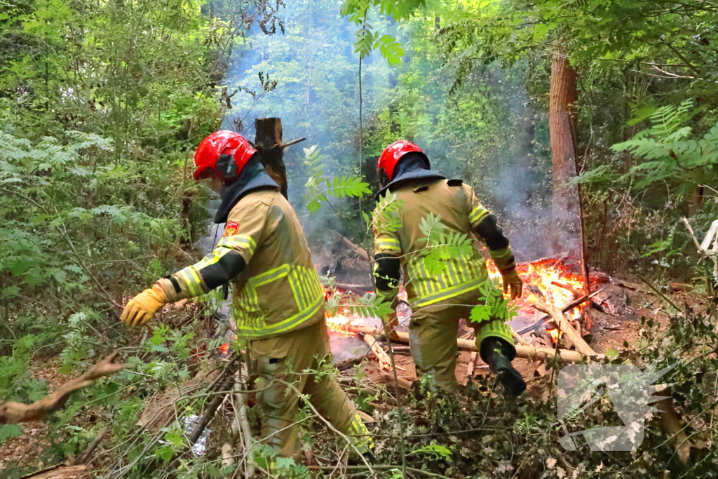 Tevergeefse bluspoging bosbrand