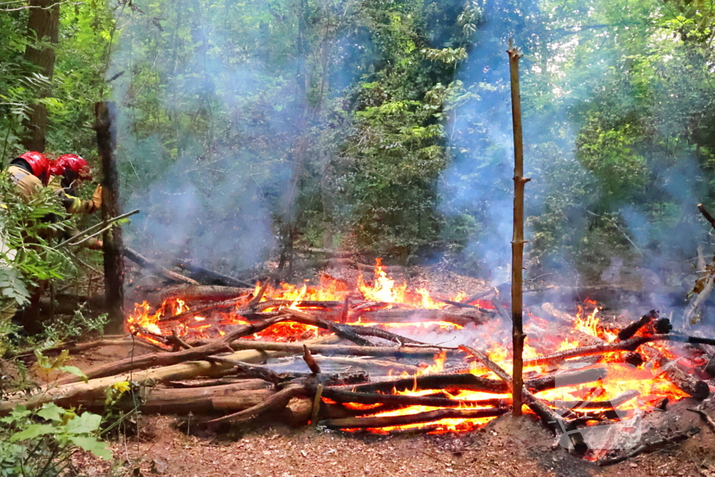 Tevergeefse bluspoging bosbrand