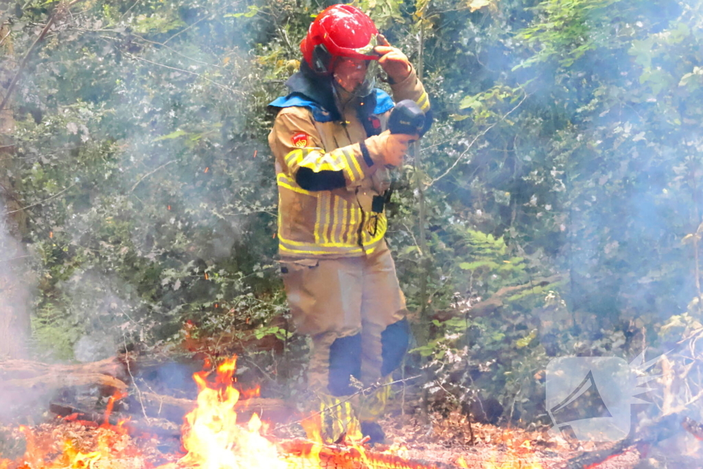 Tevergeefse bluspoging bosbrand