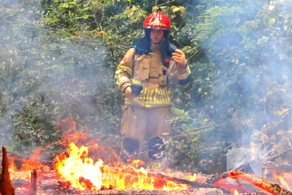 Tevergeefse bluspoging bosbrand