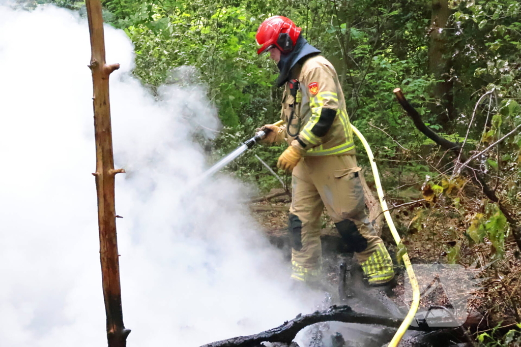 Tevergeefse bluspoging bosbrand