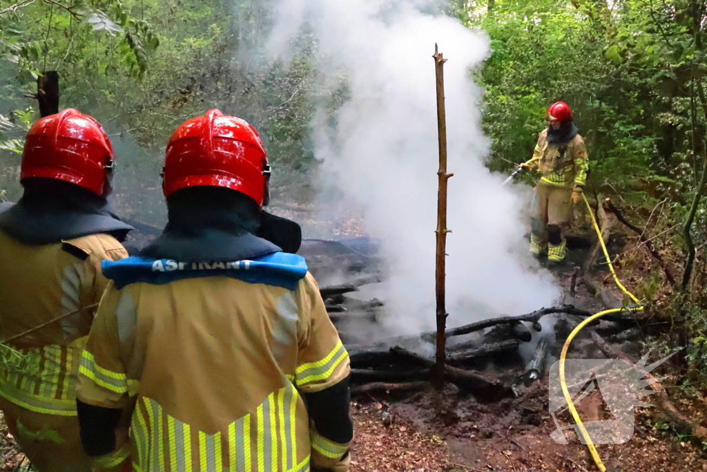 Tevergeefse bluspoging bosbrand