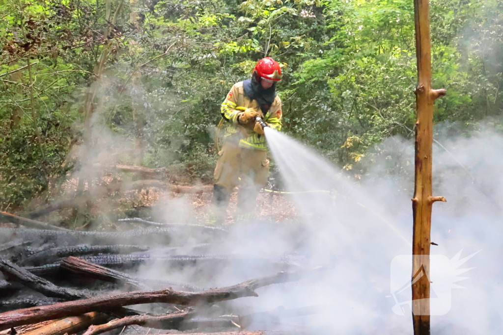 Tevergeefse bluspoging bosbrand