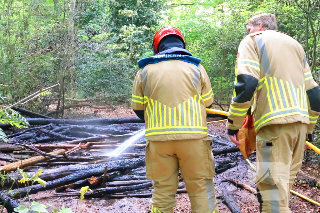 Tevergeefse bluspoging bosbrand
