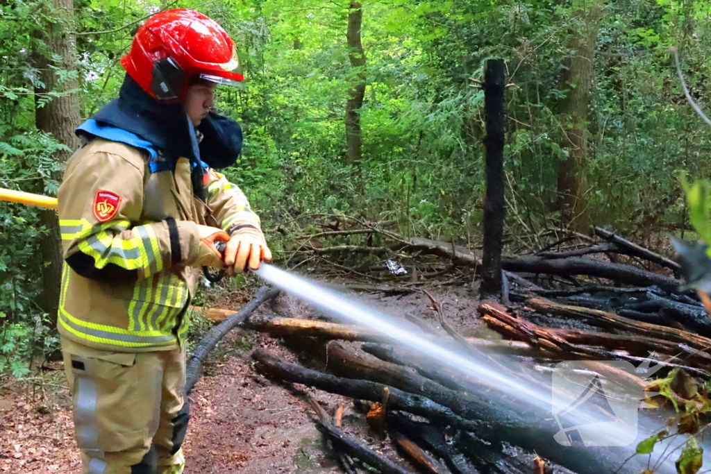 Tevergeefse bluspoging bosbrand
