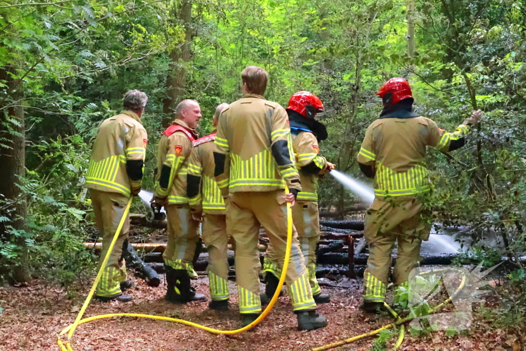 Tevergeefse bluspoging bosbrand