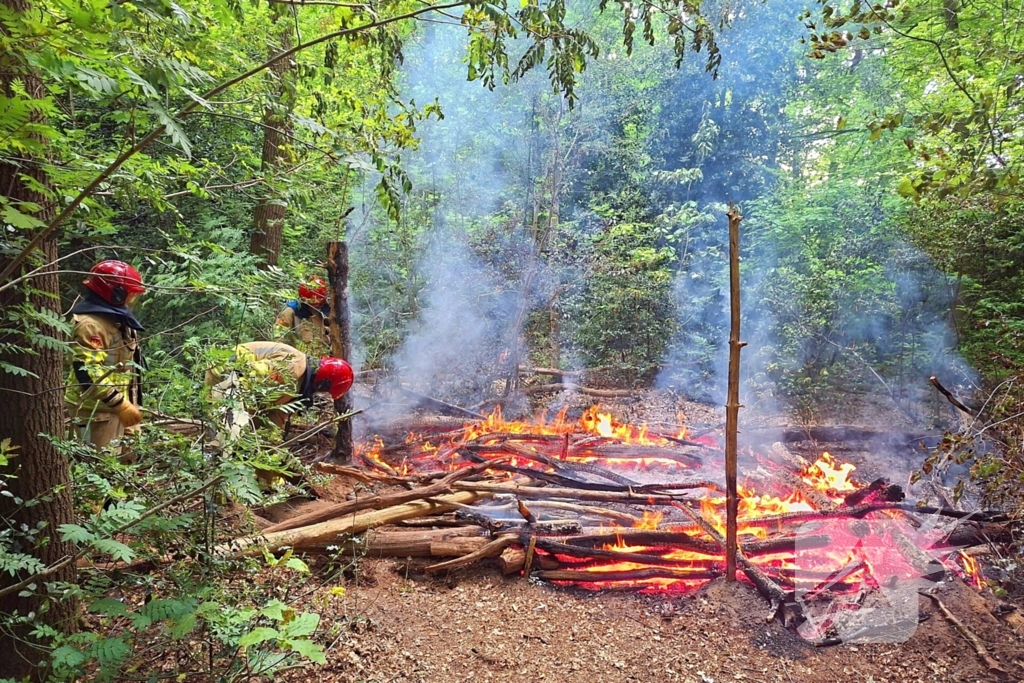 Tevergeefse bluspoging bosbrand