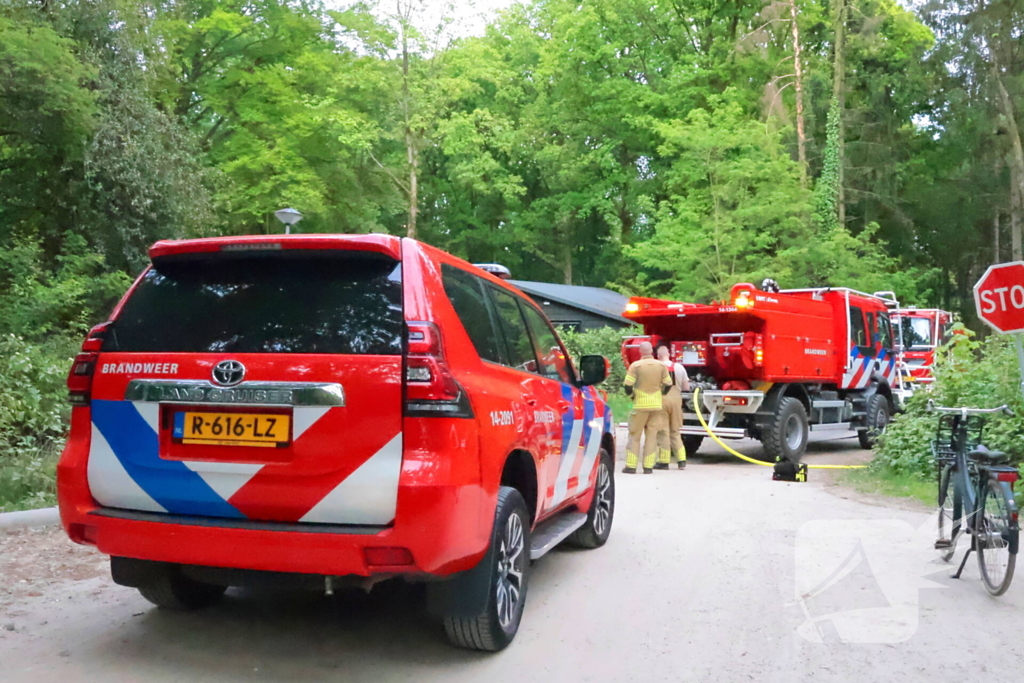 Tevergeefse bluspoging bosbrand