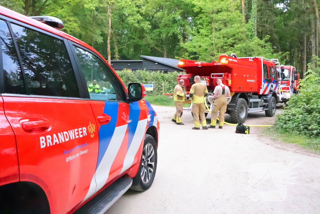 Tevergeefse bluspoging bosbrand