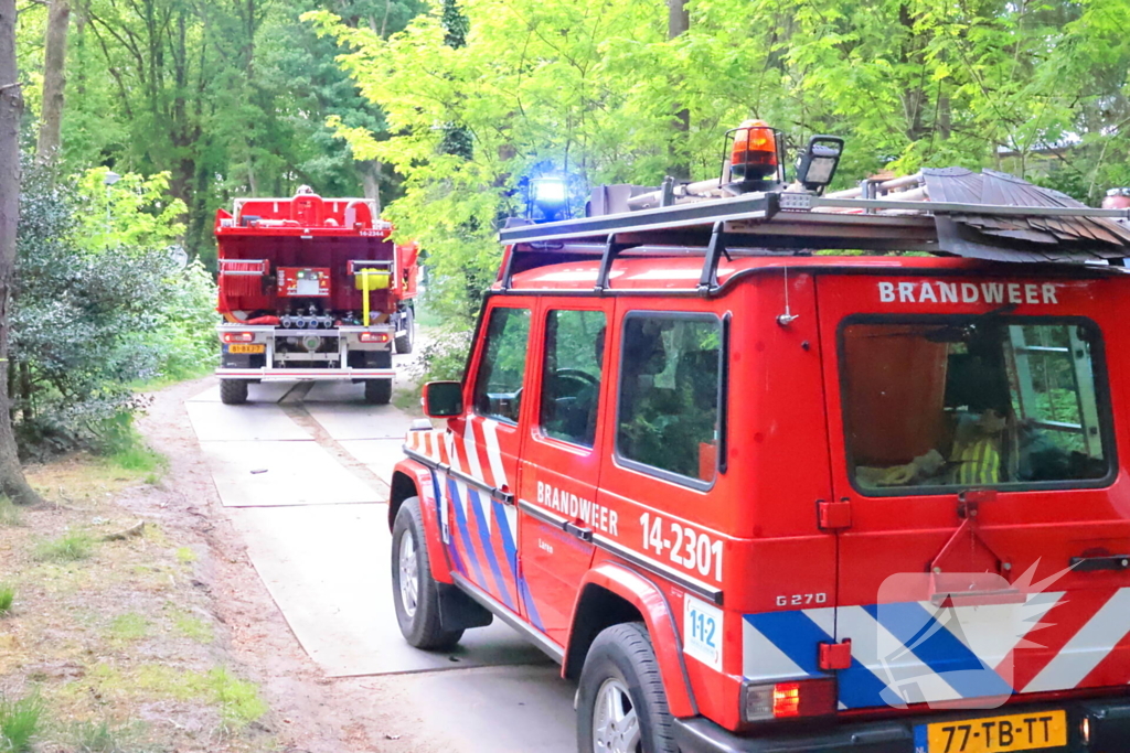 Tevergeefse bluspoging bosbrand