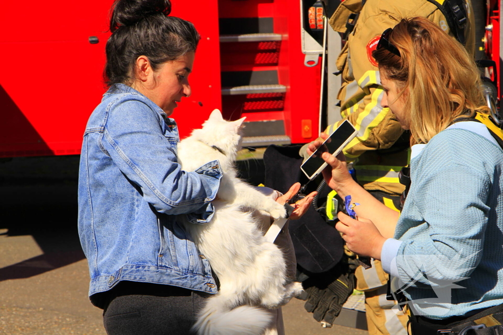 Brandweer komt in actie voor vastzittende kat