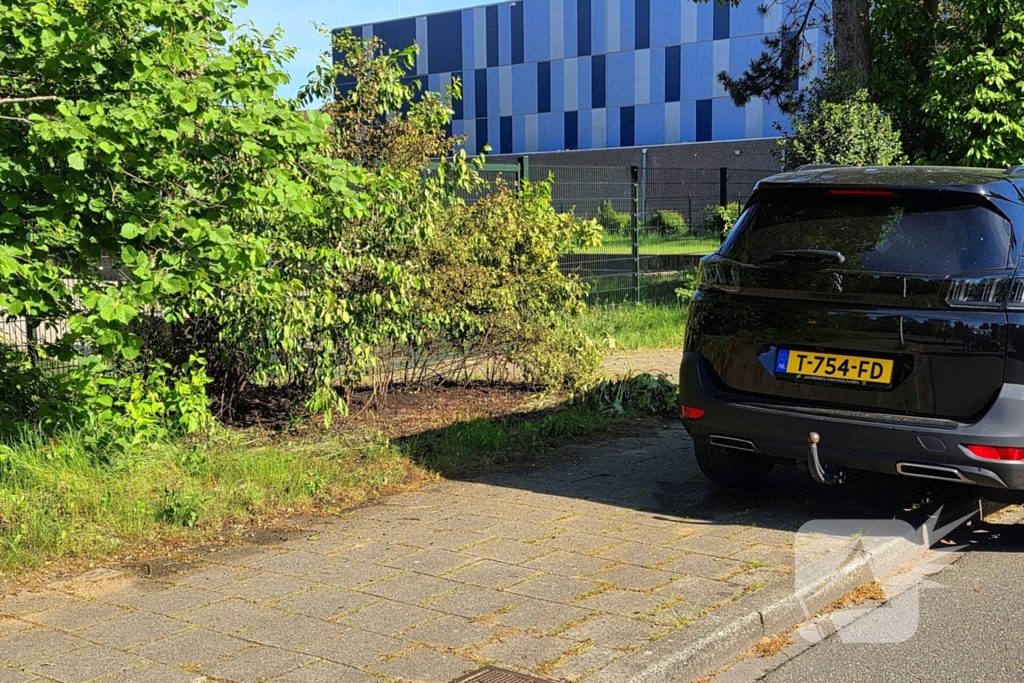 Bermbrand naast auto snel onder controle