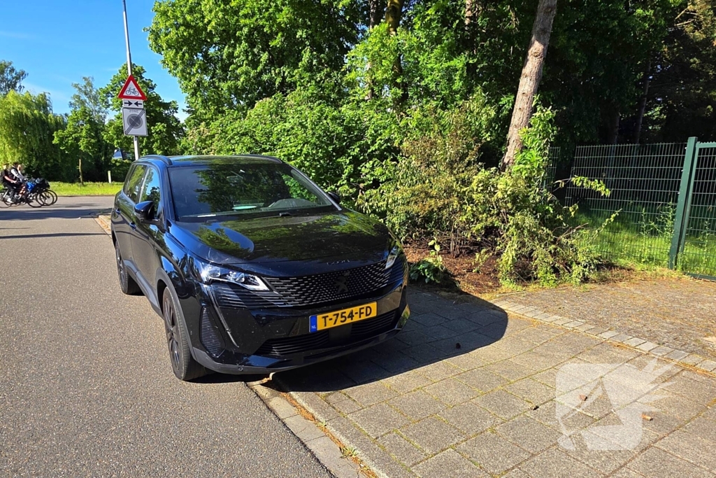 Bermbrand naast auto snel onder controle