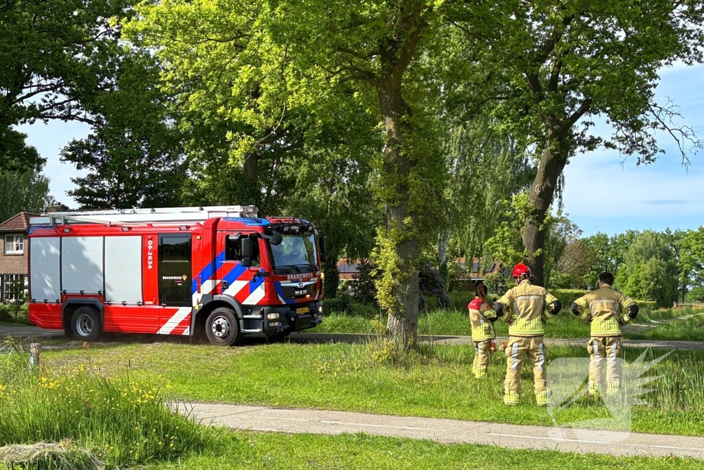 Brandweer verwijdert gevaarlijk hangende tak