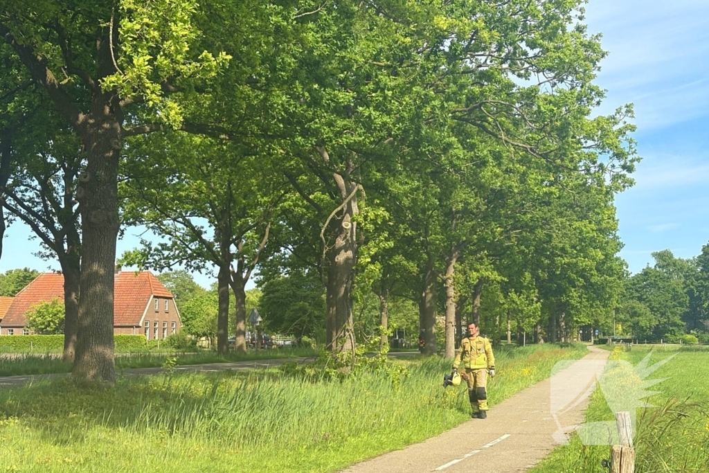 Brandweer verwijdert gevaarlijk hangende tak