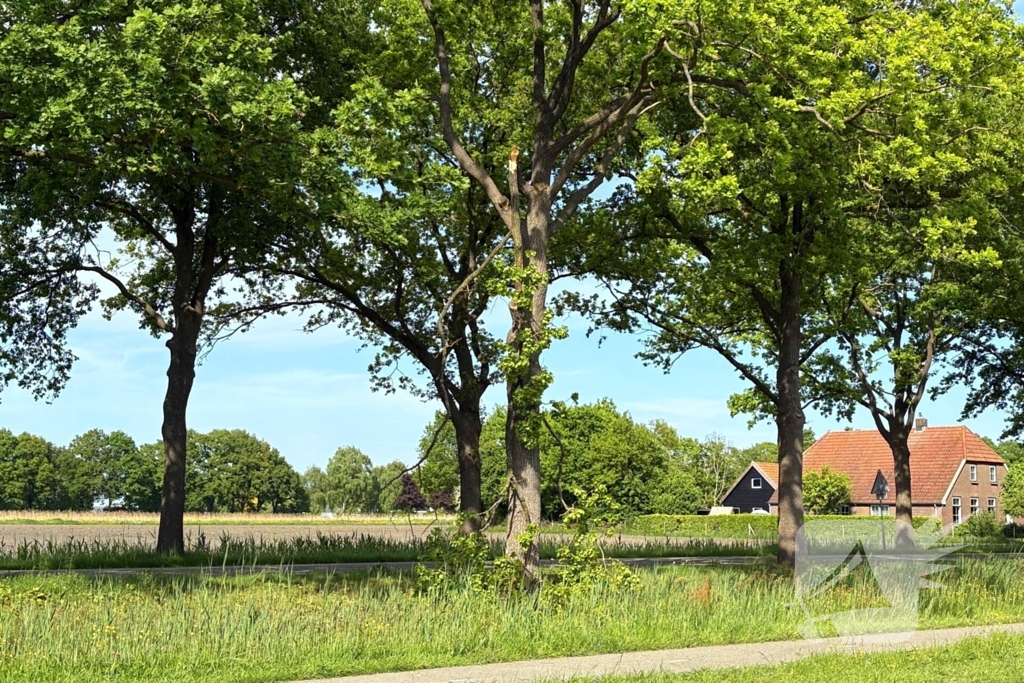 Brandweer verwijdert gevaarlijk hangende tak