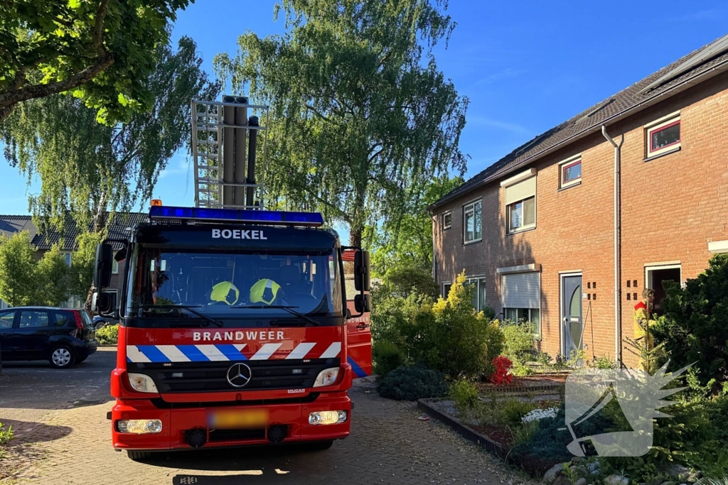 Kat kruipt onder dakpannen, brandweer bevrijdt kat