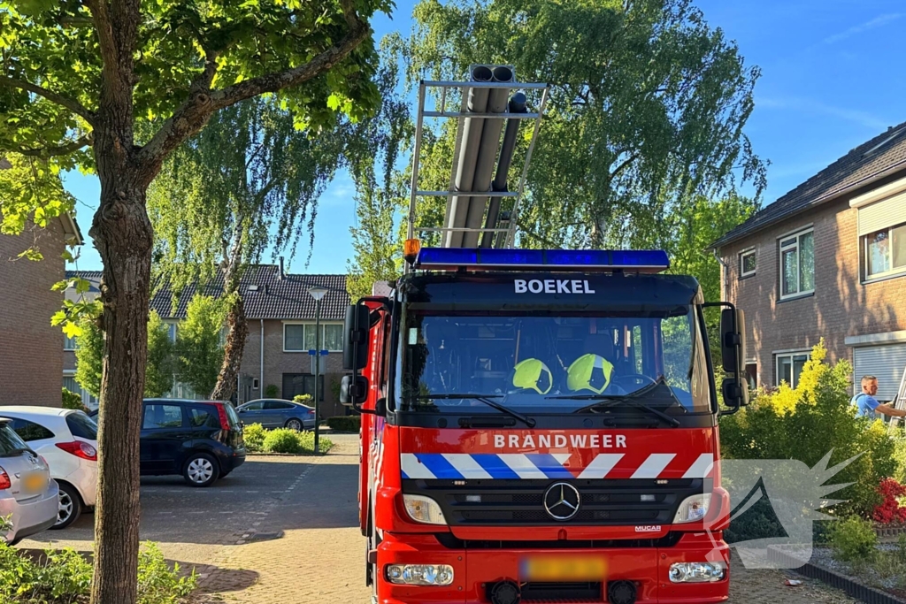 Kat kruipt onder dakpannen, brandweer bevrijdt kat