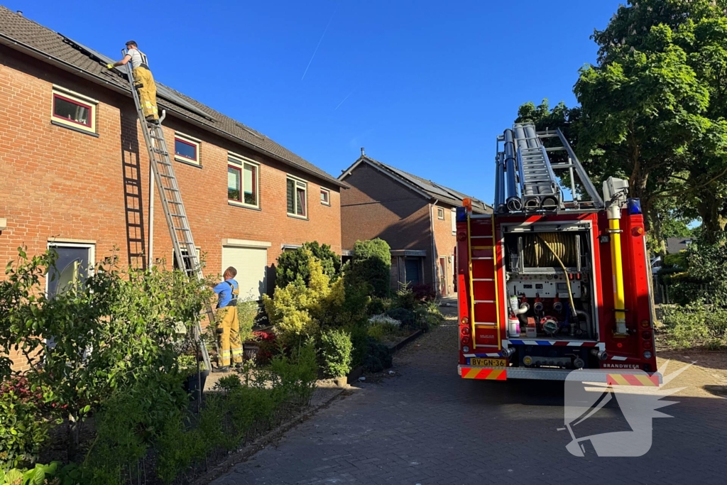 Kat kruipt onder dakpannen, brandweer bevrijdt kat