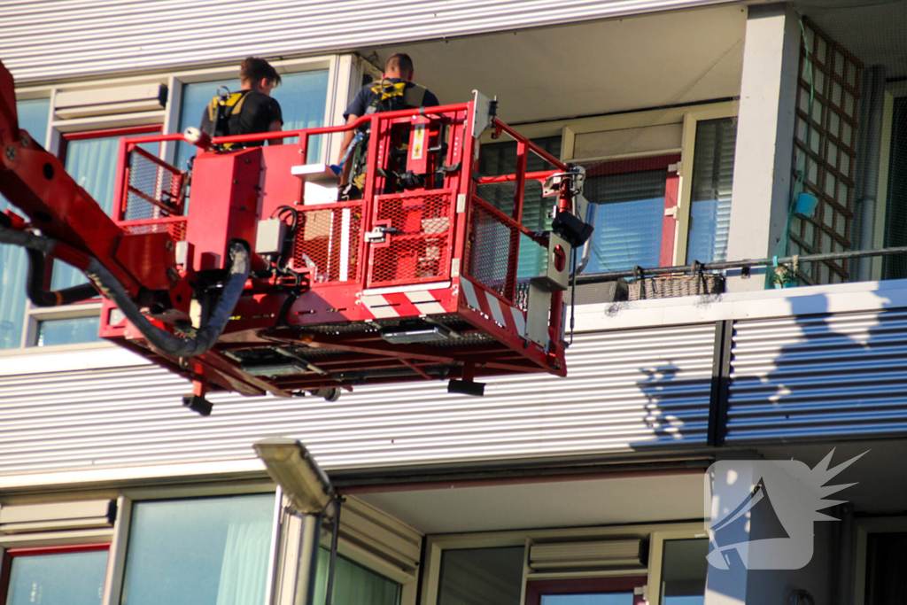 Duif gered van balkon