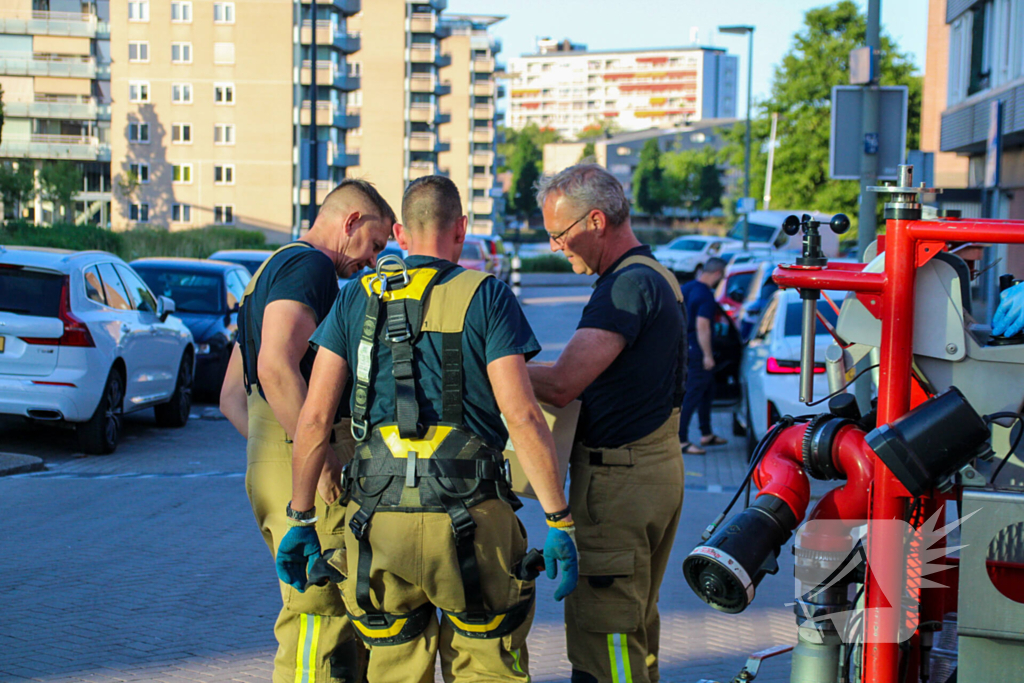 Duif gered van balkon