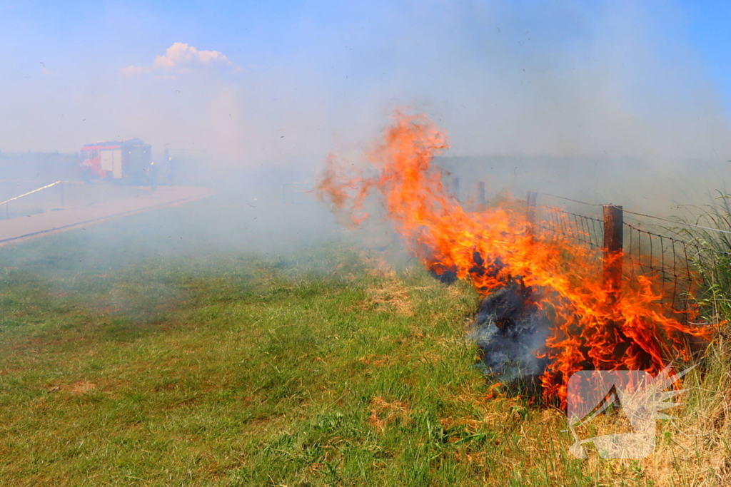 Felle bermbrand snel onder controle