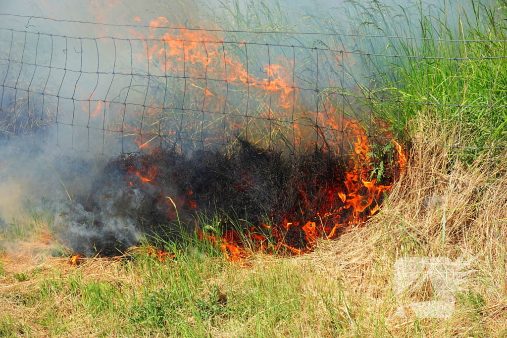 Felle bermbrand snel onder controle