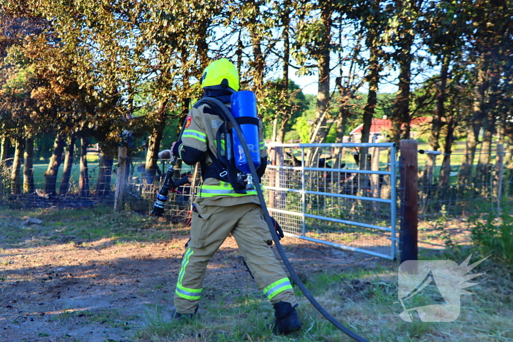 Bomen en pipowagen in brand