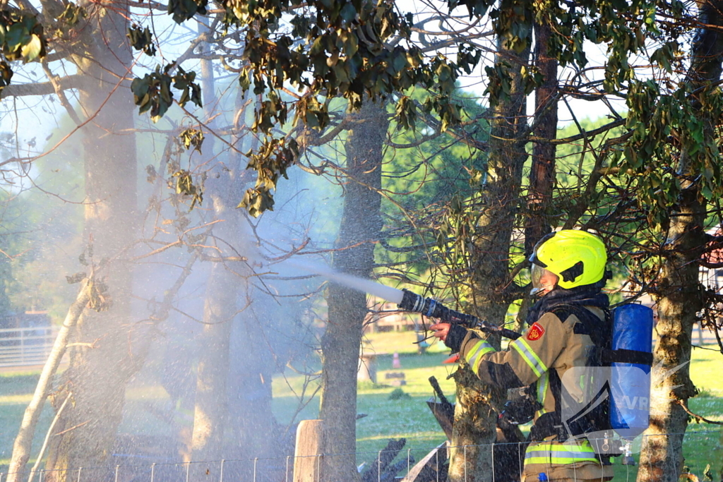 Bomen en pipowagen in brand