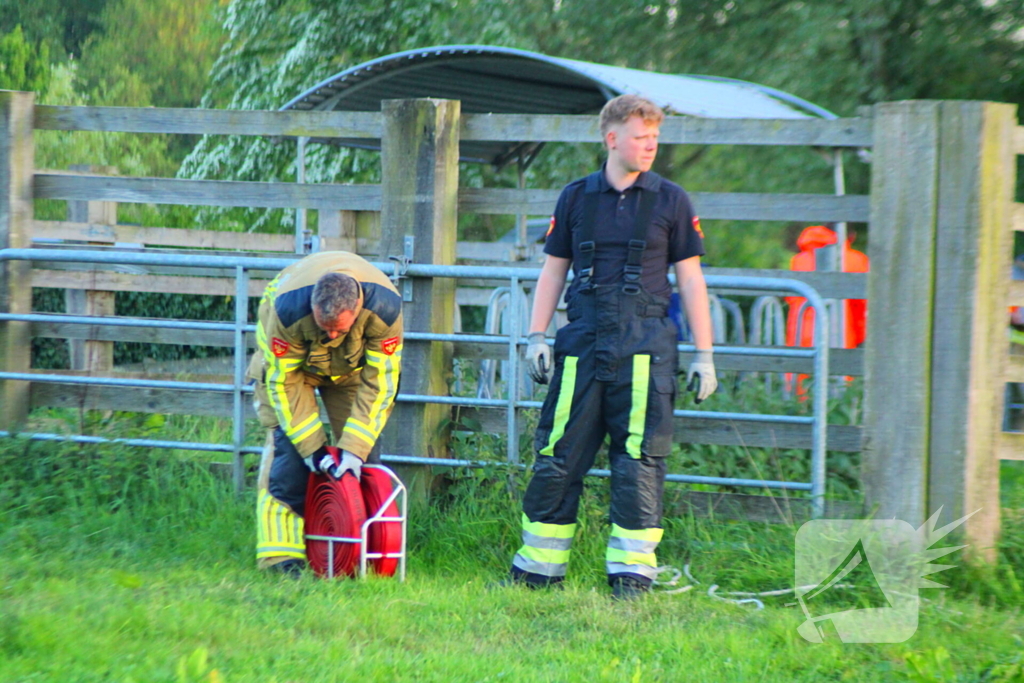 Brandweer redt uit uitgeputte Schotse Hooglander uit sloot