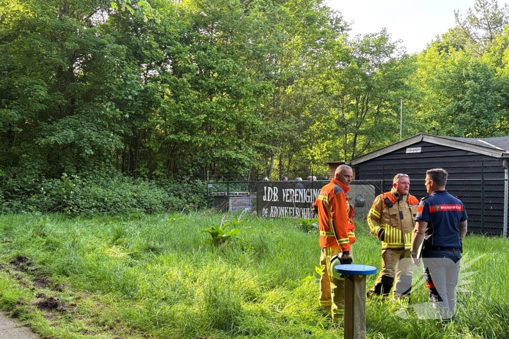 Vele brandweerlieden naar bosbrand