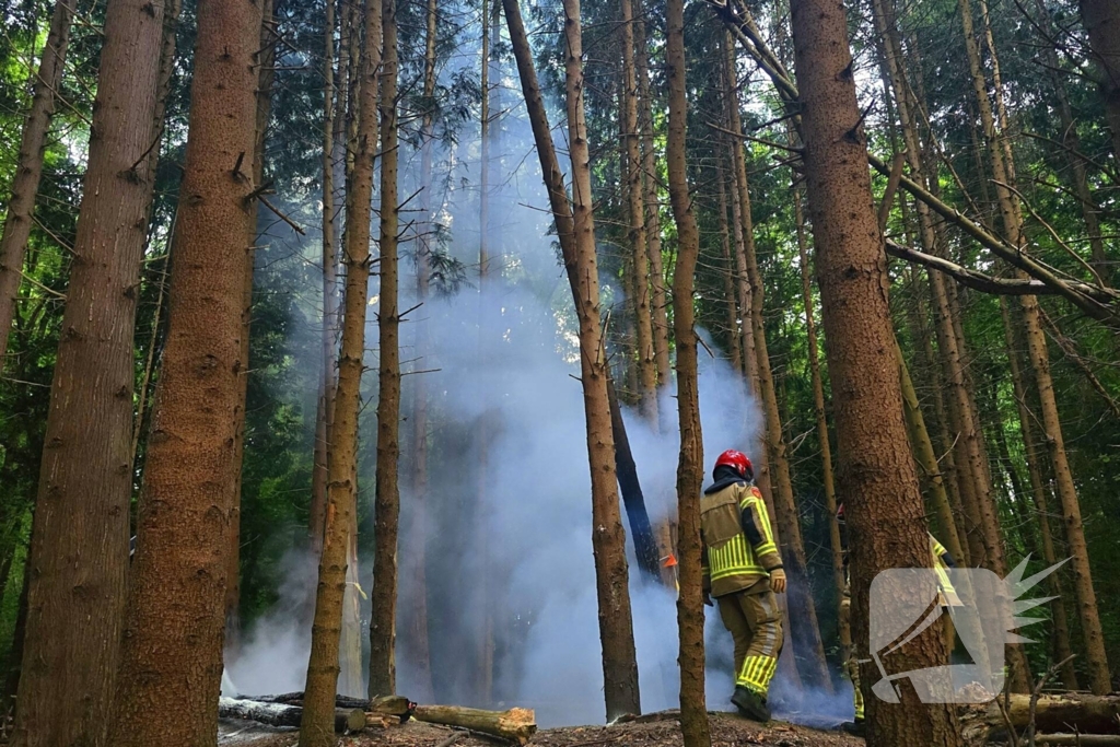 Brandweer ingezet voor bosbrand