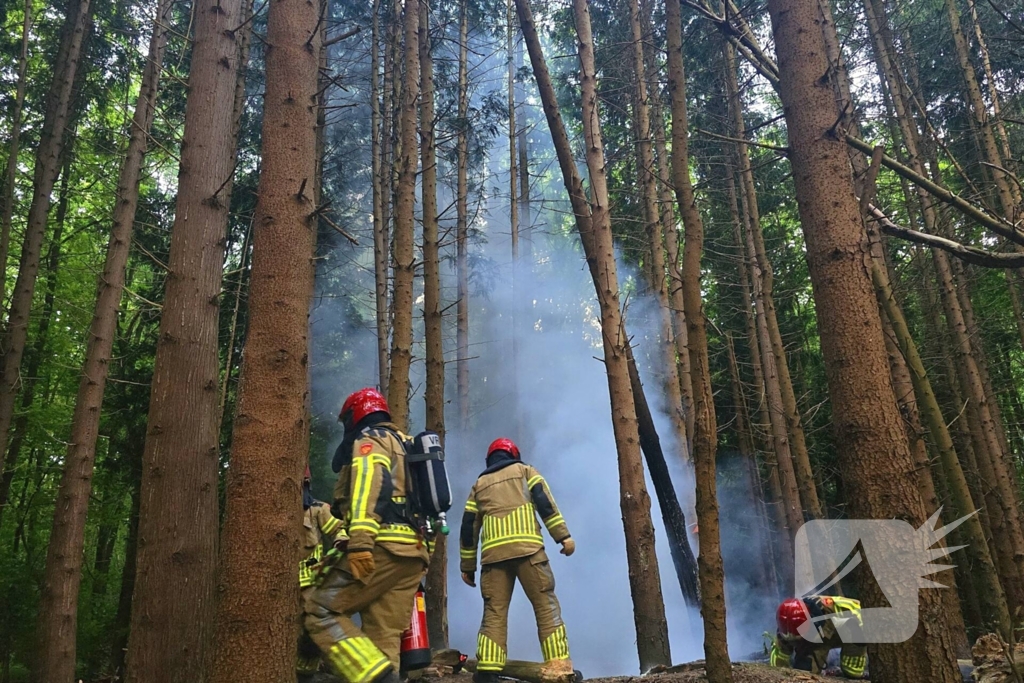 Brandweer ingezet voor bosbrand